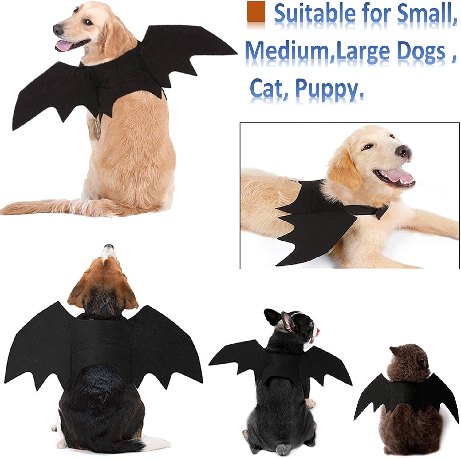 Halloween Costumes - Bat Wings for Small, Medium & Large Dogs & Cats, Funny Pet Apparel, Cosplay Clothes, Cool Dog Outfits (L)