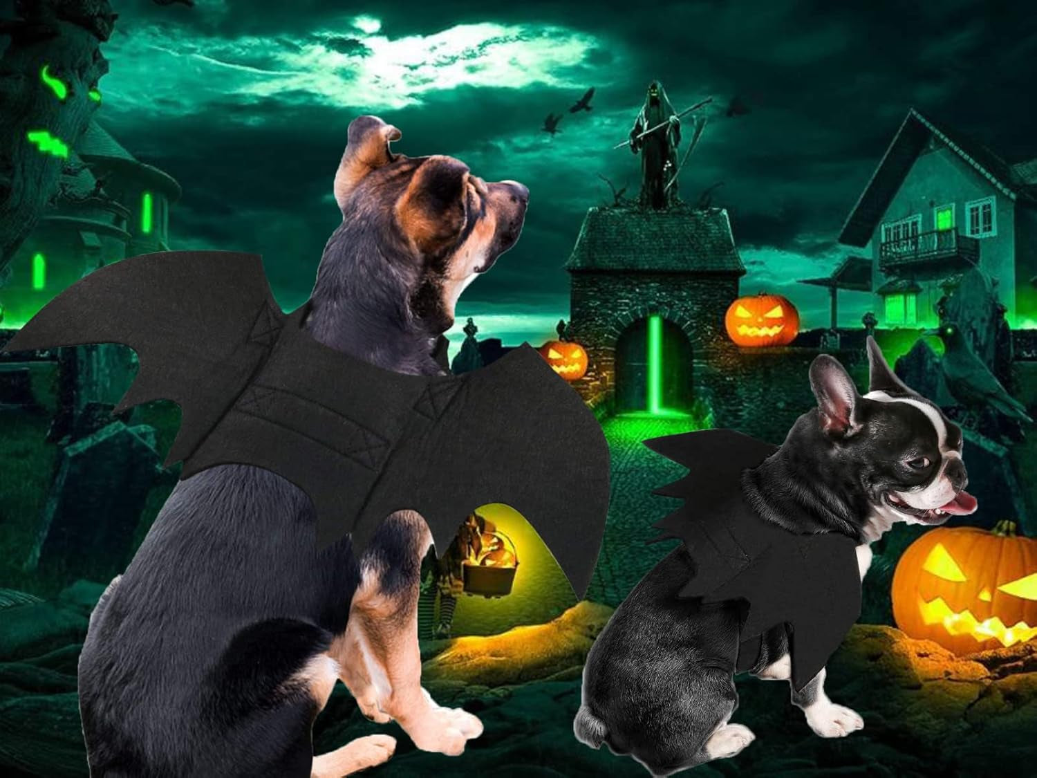 Halloween Costumes - Bat Wings for Small, Medium & Large Dogs & Cats, Funny Pet Apparel, Cosplay Clothes, Cool Dog Outfits (L)