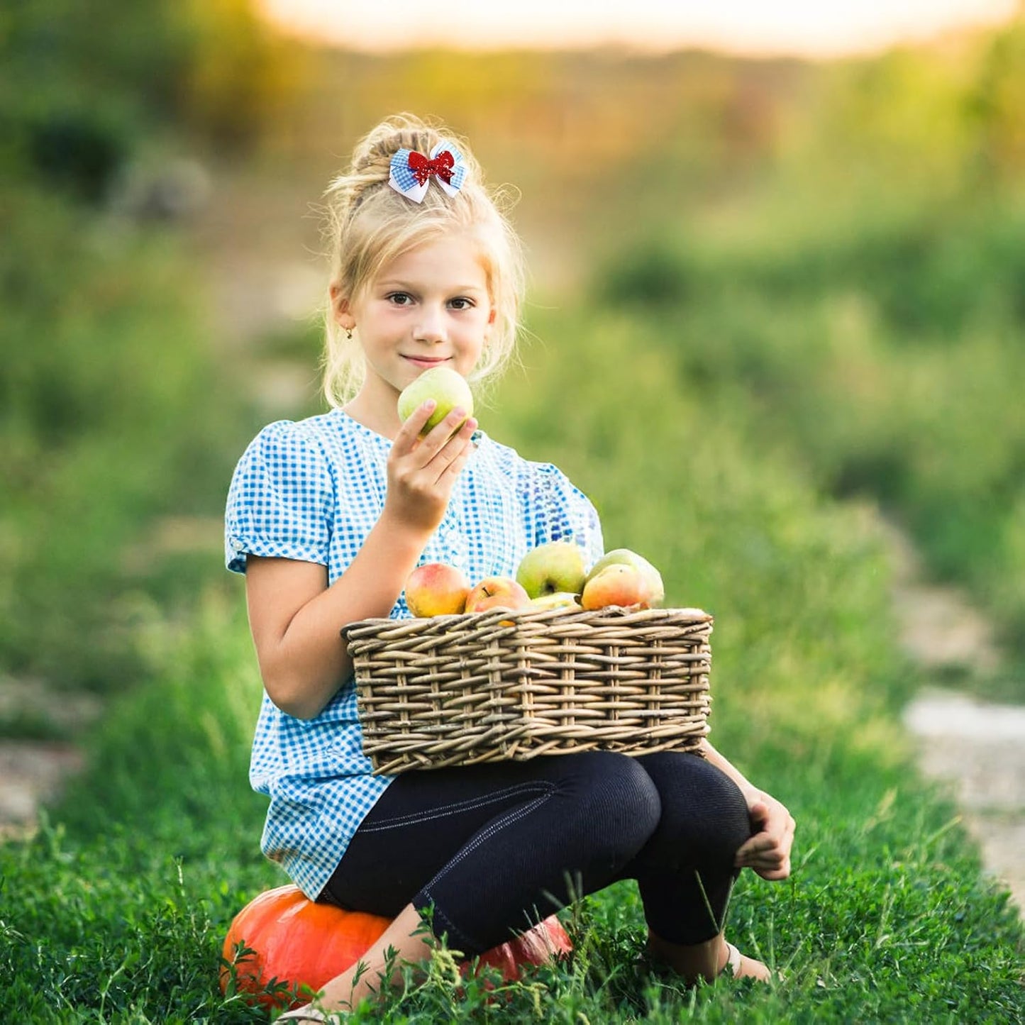 2PC Blue White Gingham Hair Bow Clips 3.5 Inch Checker Pigtail Bows Wizard Halloween Costume Accessories for Dorothy