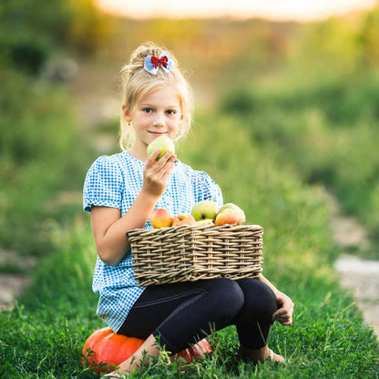 2PC Blue White Gingham Hair Bow Clips 3.5 Inch Checker Pigtail Bows Wizard Halloween Costume Accessories for Dorothy