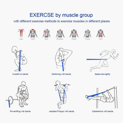Resistance Bands - Workout Bands - Pull up Assist Bands - Exercise Bands for Men and Women Powerlifting, Body Stretching, Resistance Training